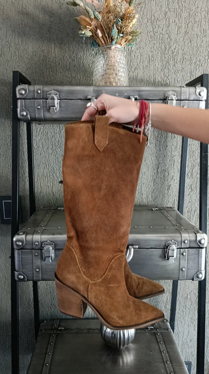 Sarkany · Talle AR 37