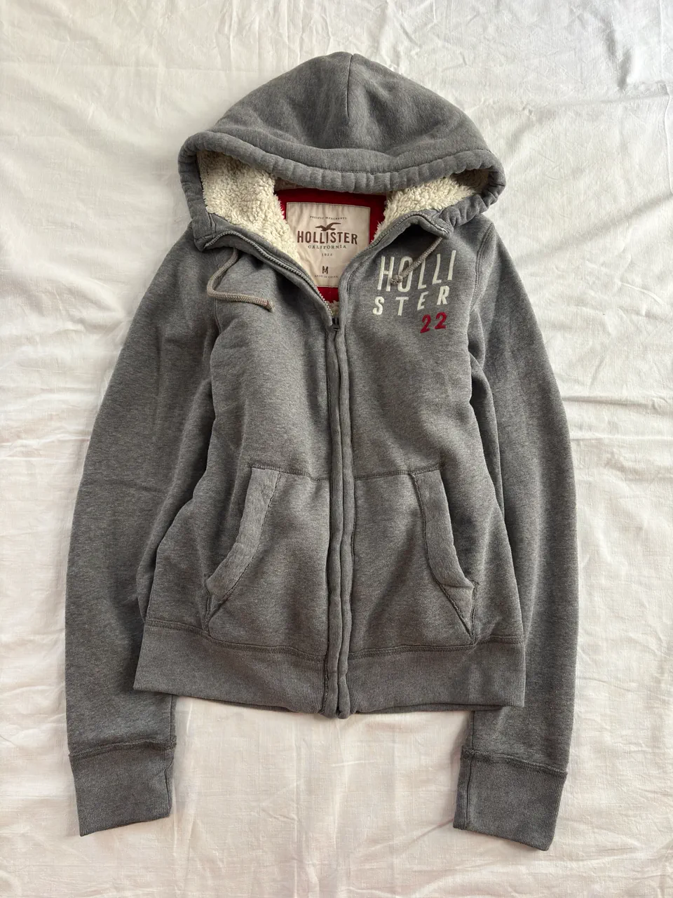 Campera Hollister · Talle M