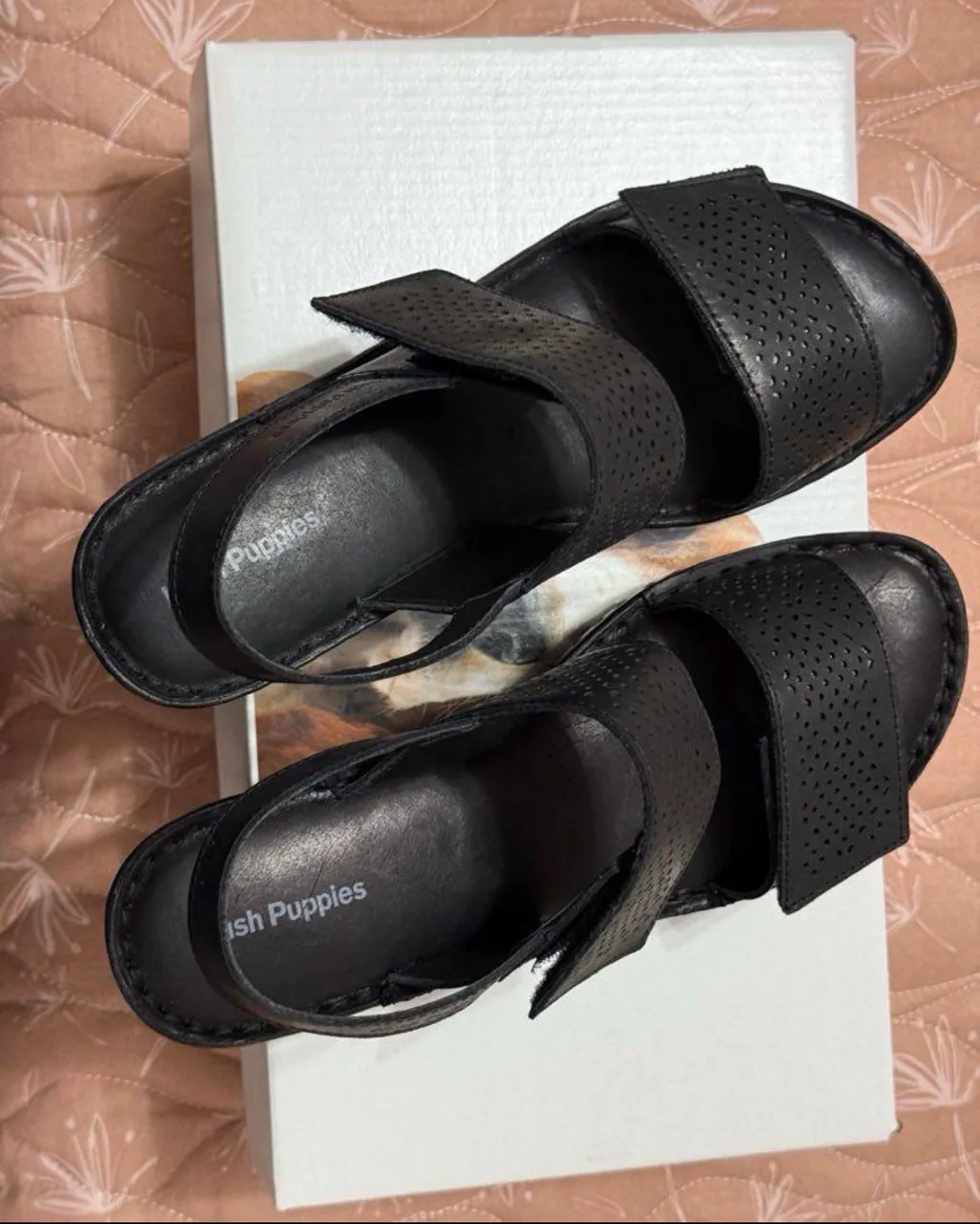 Hush Puppies · Talle AR 38