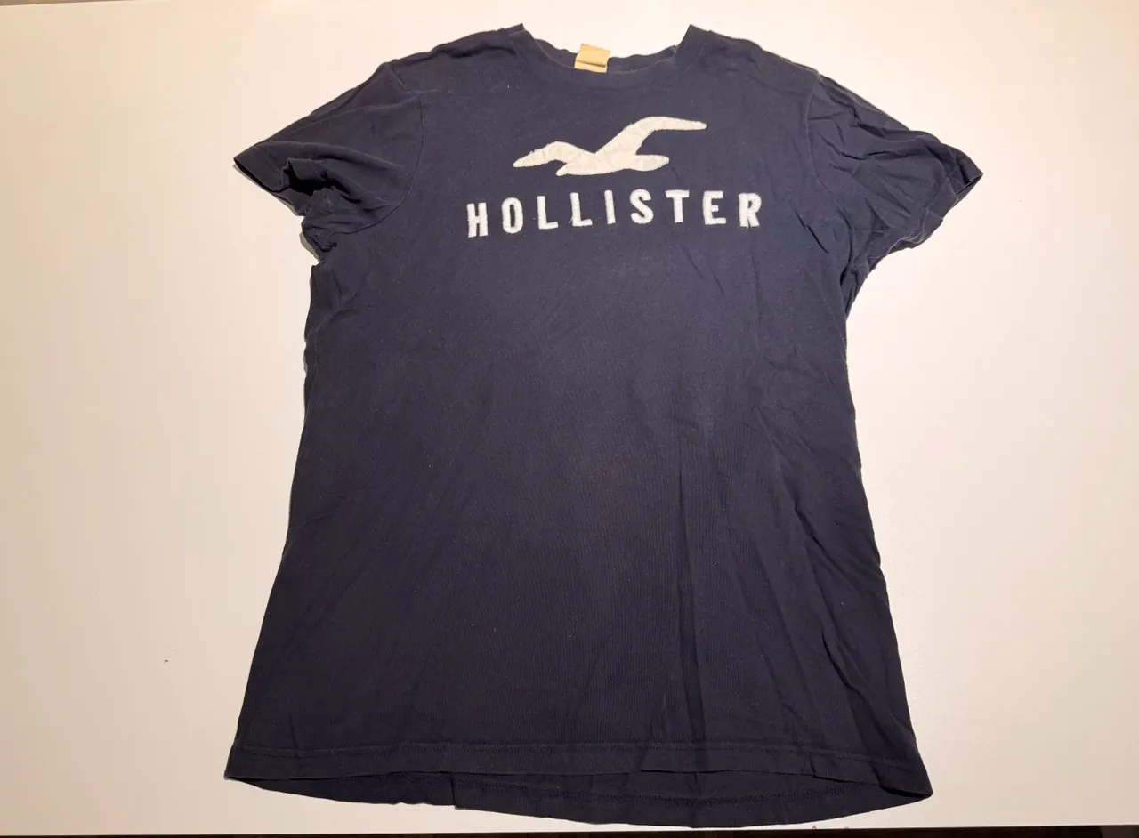 Remera Hollister · Talle L