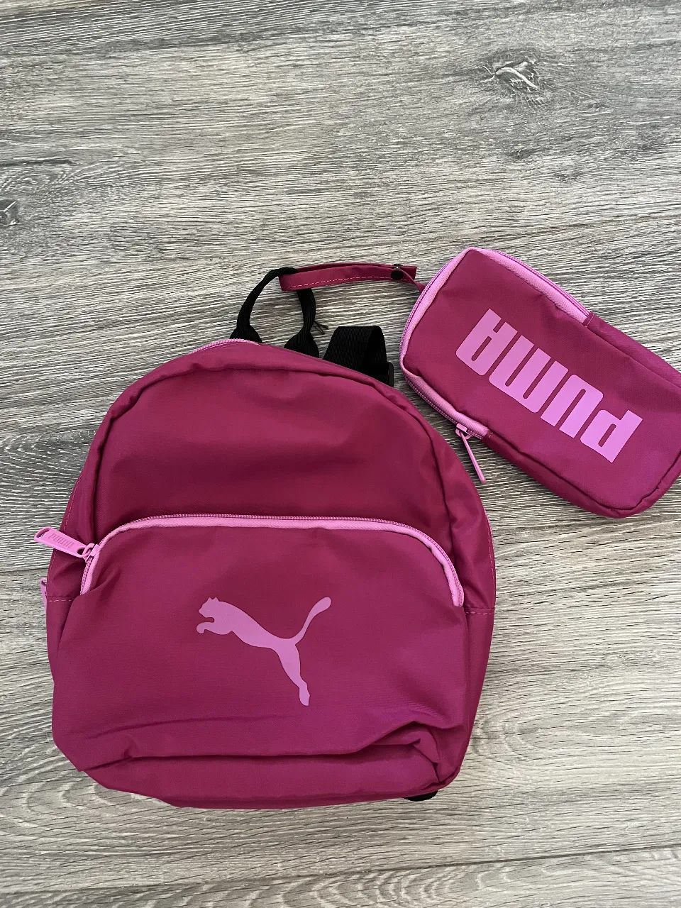 Monedero Puma