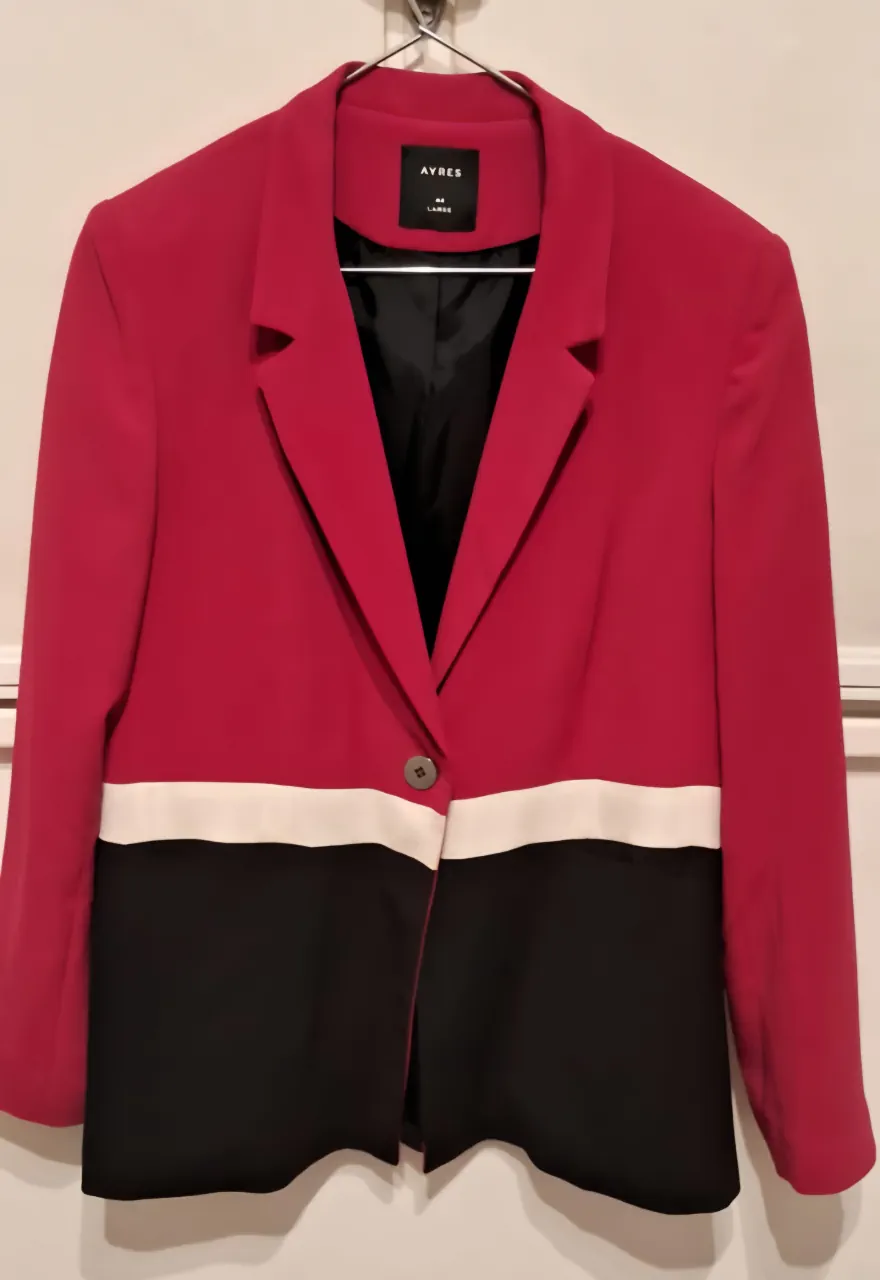 Blazer Ayres - imagen 1