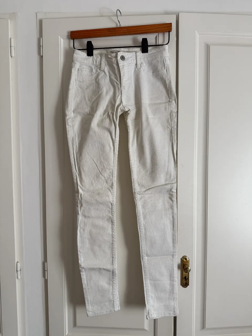 Hollister · Talle US 24