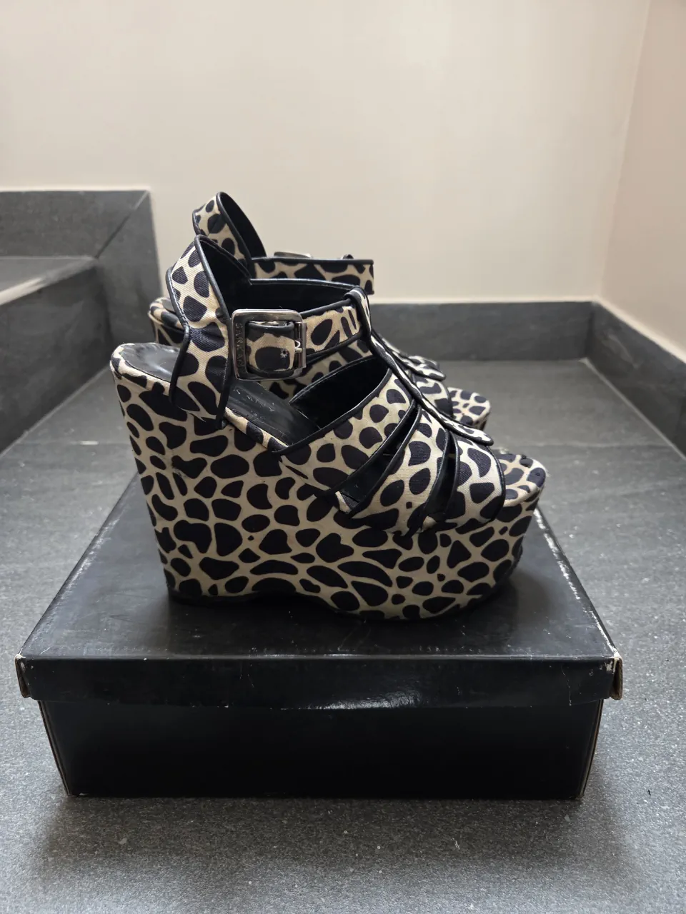 Sarkany · Talle AR 38