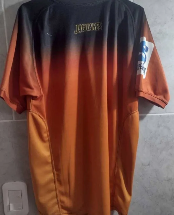 Remera Lions - imagen 2