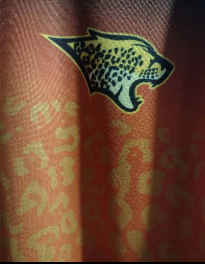 Remera Lions - imagen 3