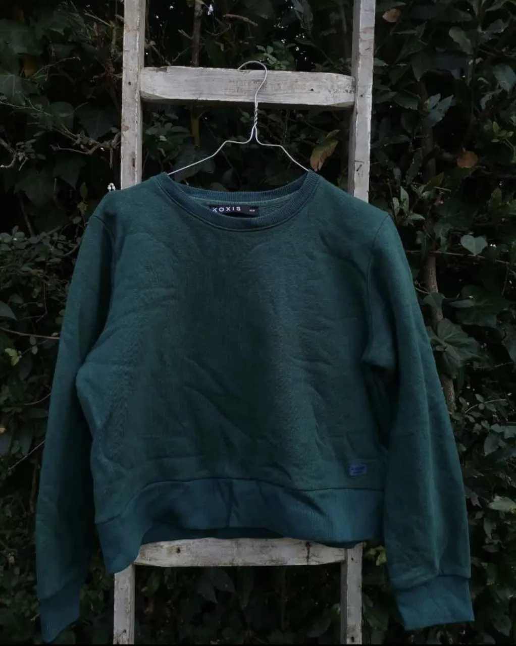 Buzo Koxis de manga larga, color verde oscuro. Posee cuello redondo y puños en mangas y cintura.
Medidas: de axila a axila 50cm, de hombro a hombro 38cm, largo mangas 60cm, largo total 52cm