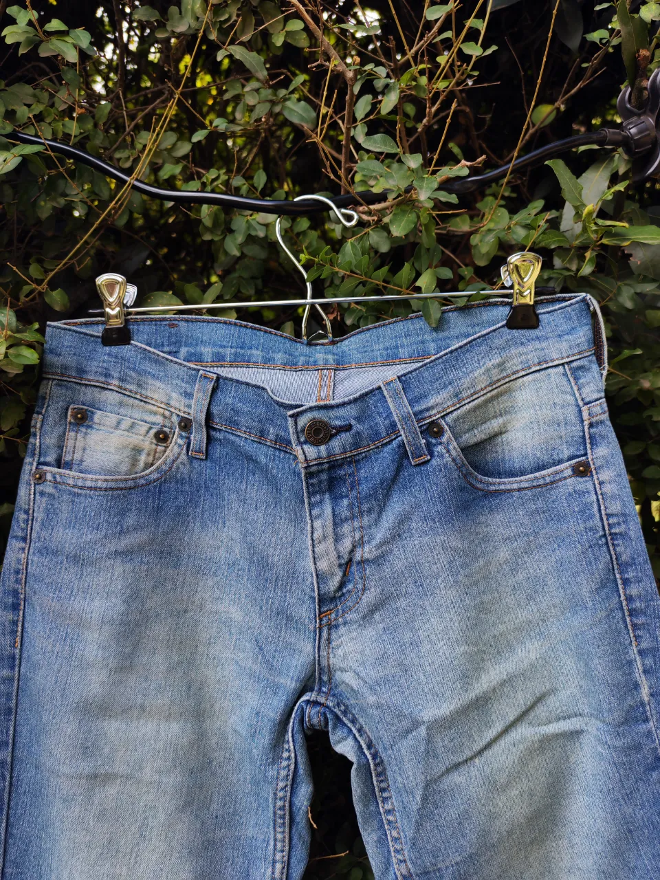 Jean Levi's - Vista 2