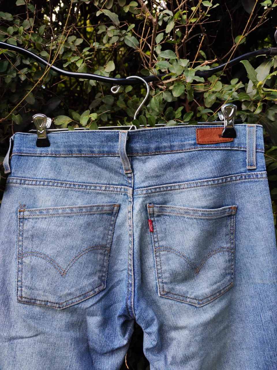 Jean Levi's - Vista 4