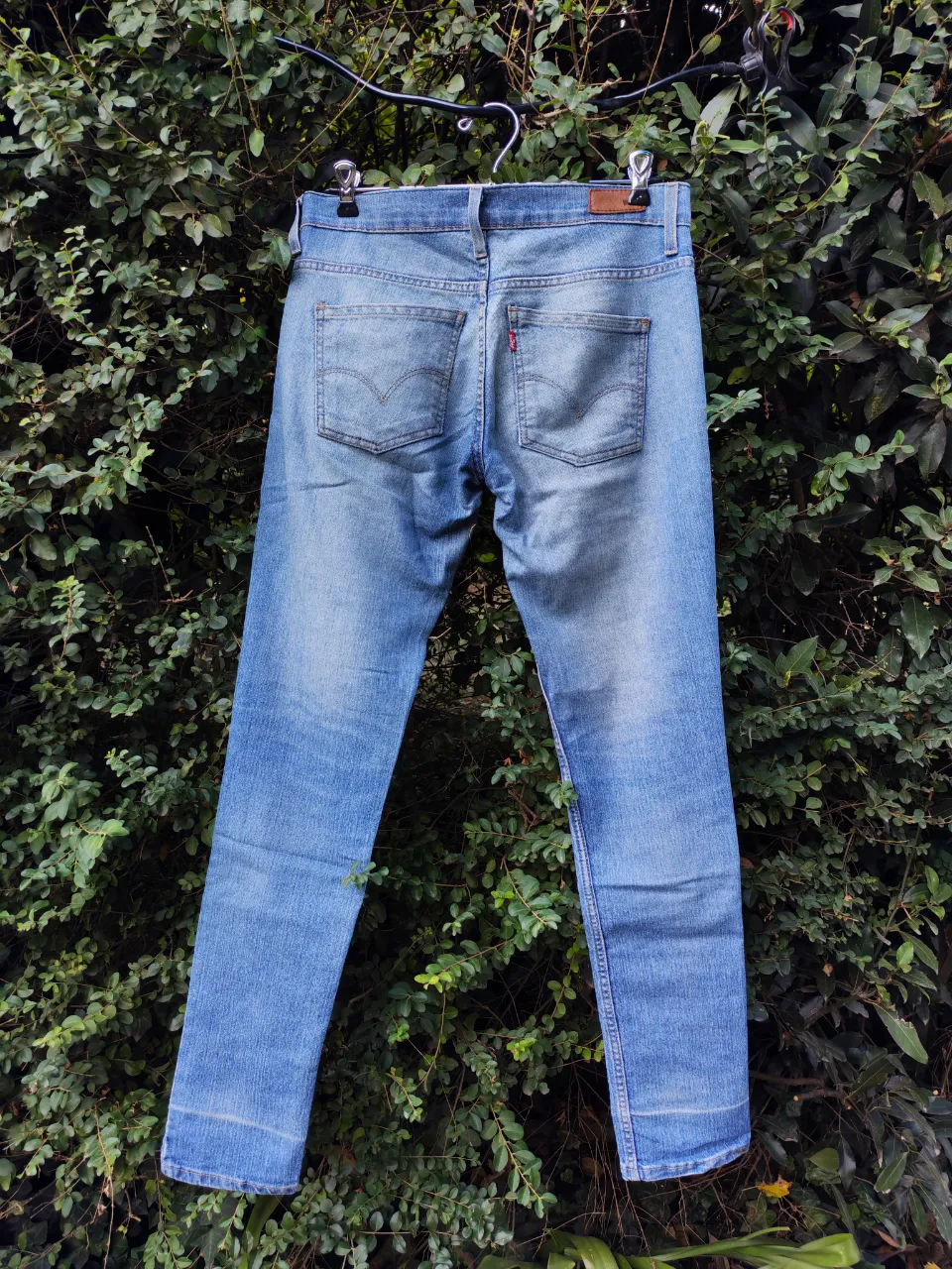 Jean Levi's - Vista 3