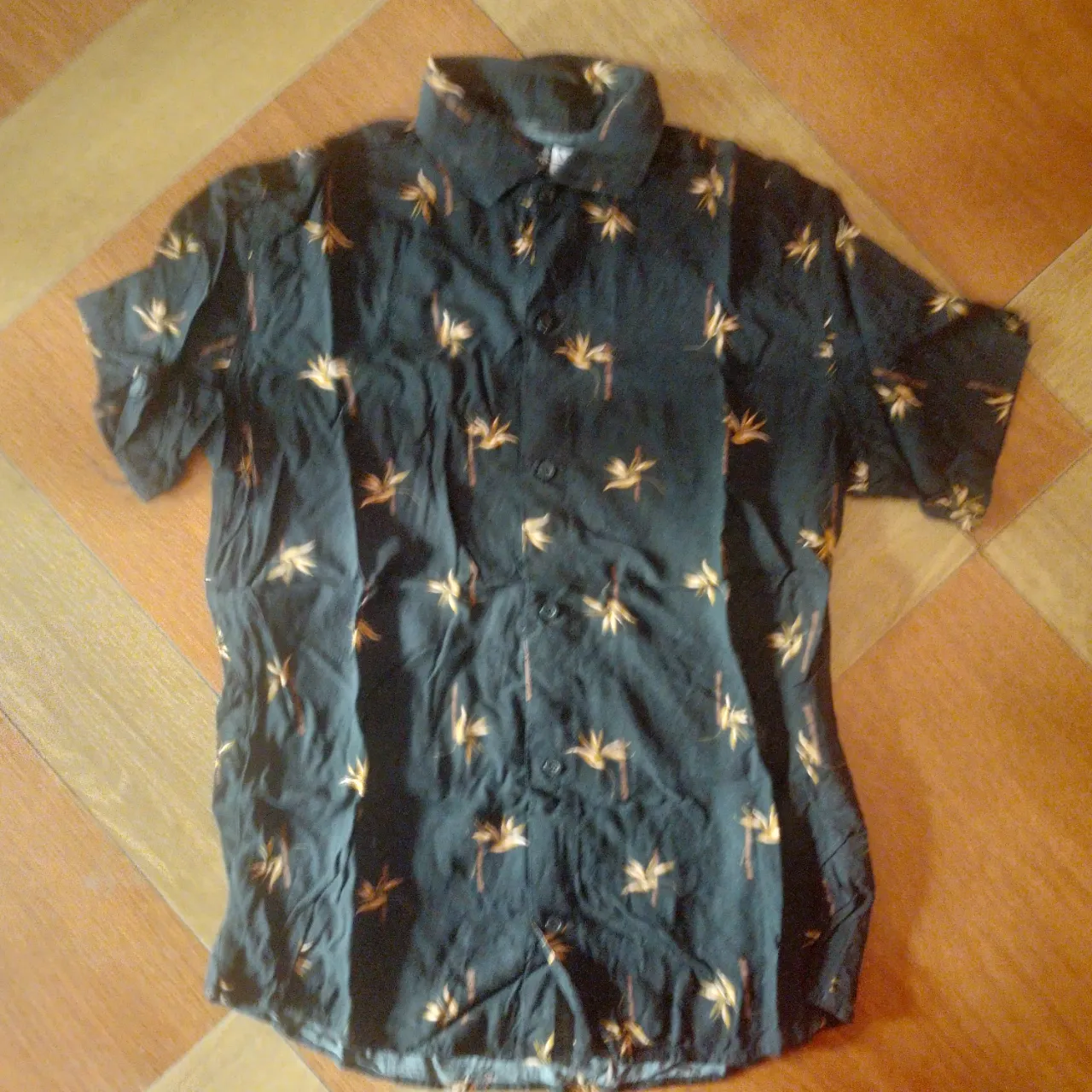 Camisa manga corta Kanzas - imagen 1