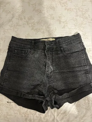 Hollister