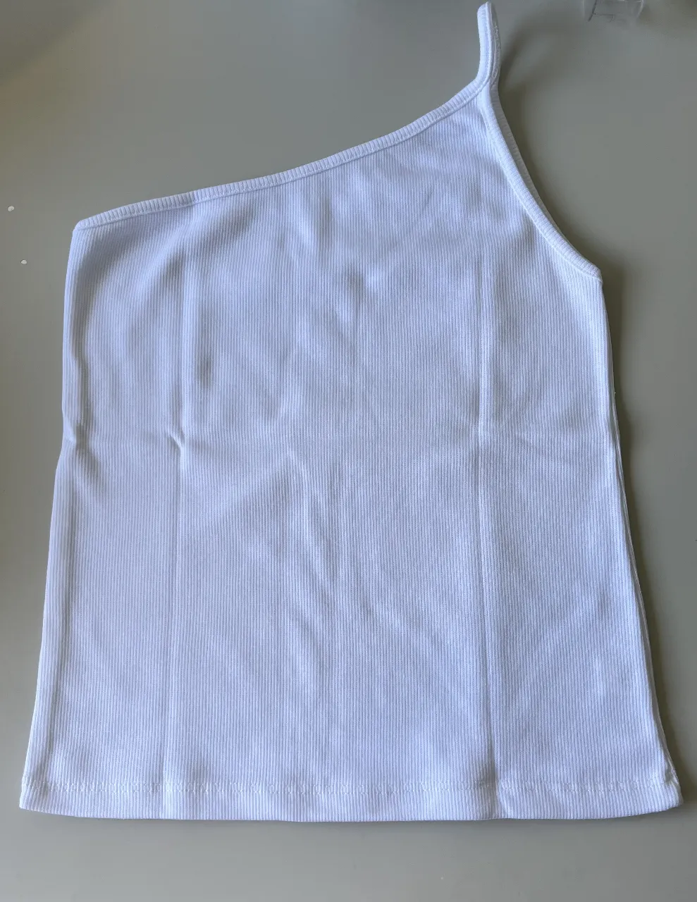Musculosa Isostasia - imagen 2