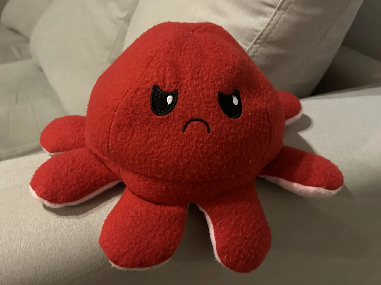 Ropa para ocasiones Peluche - imagen 2