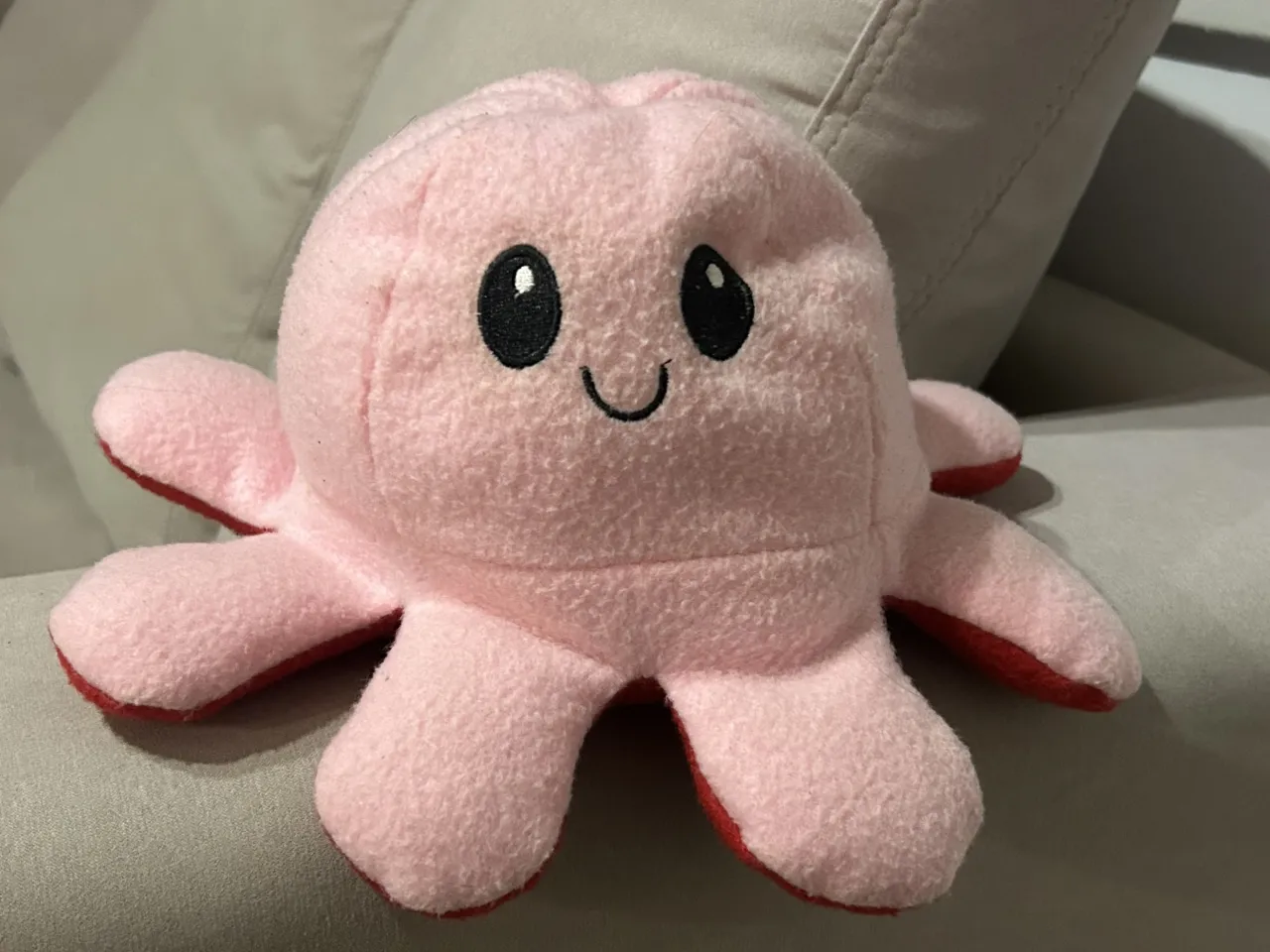 Ropa para ocasiones Peluche - imagen 1
