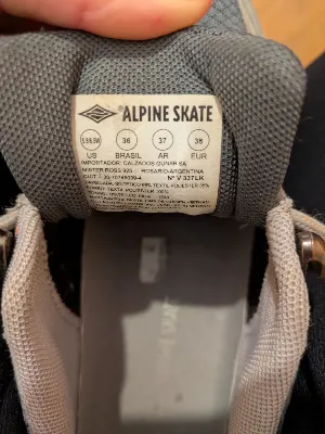 Alpine skate