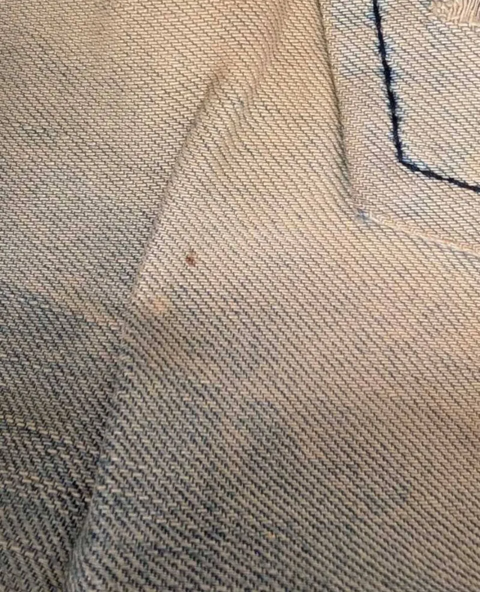 Bermuda Zara Man - imagen 5