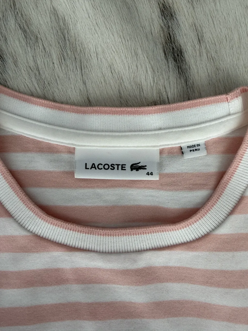 Remera Lacoste - Vista 3
