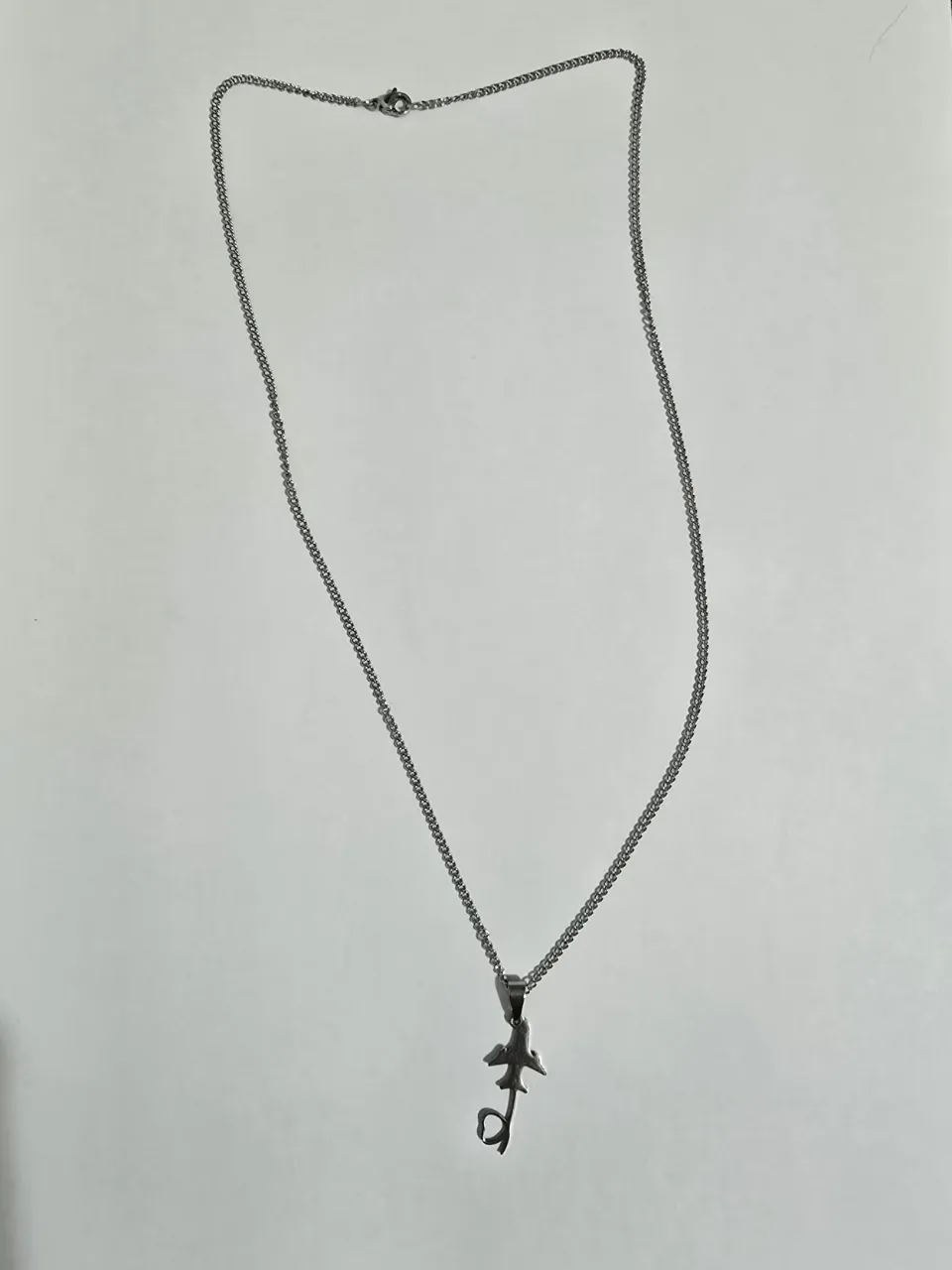 Collar Generico - imagen 2