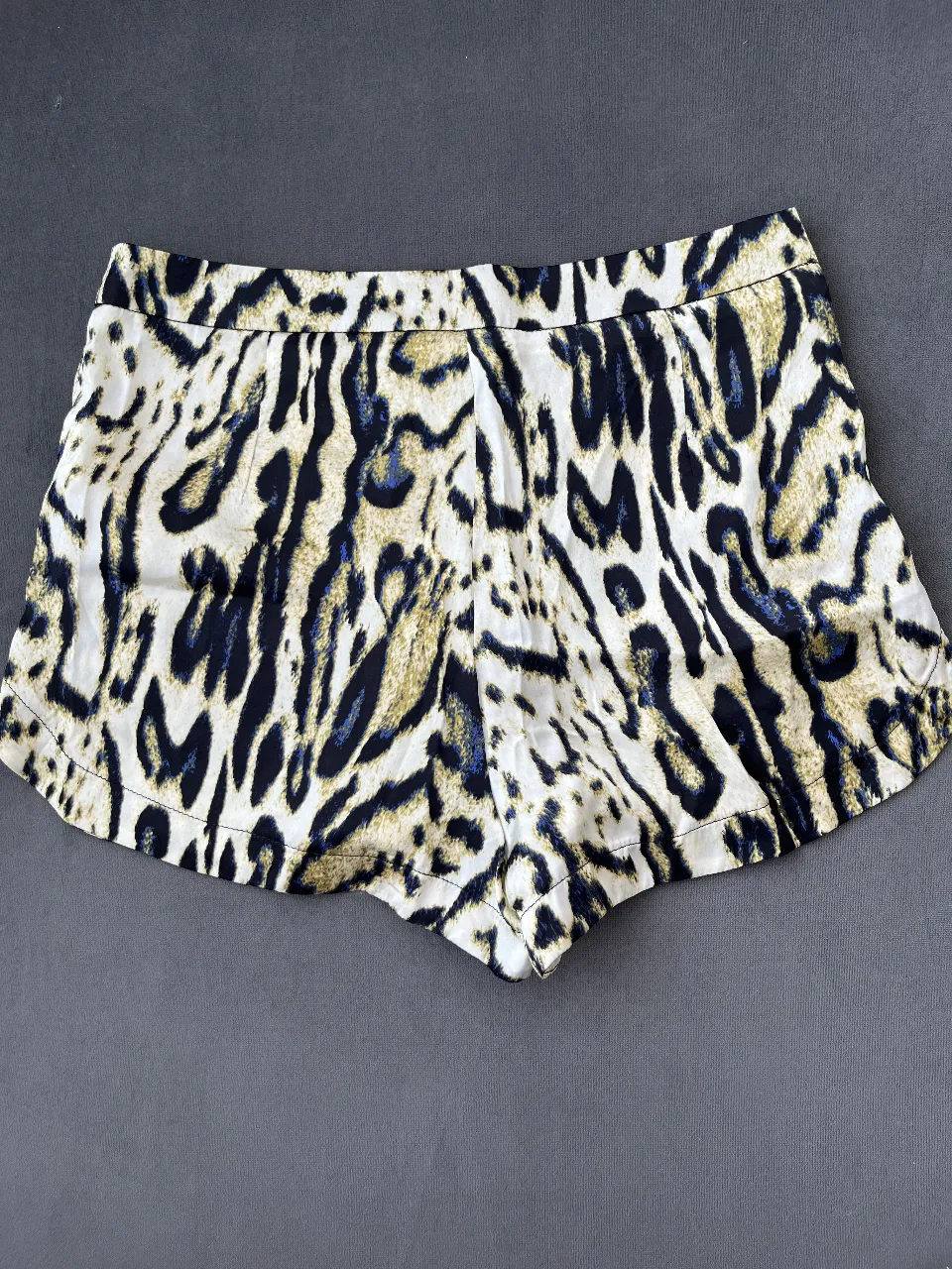 Short Ayres - imagen 3