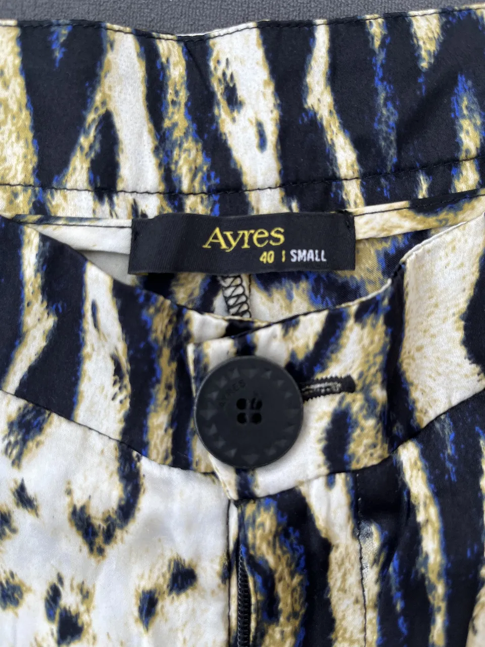 Short Ayres - imagen 2