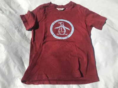 Original Penguin