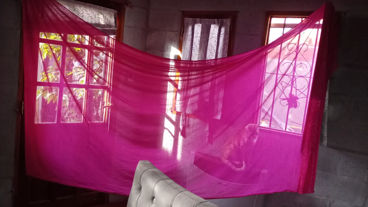 Pañuelo Sin etiqueta - imagen 2