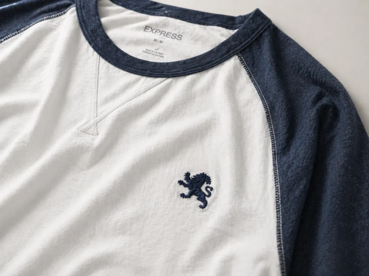 Remera Express - Vista 2