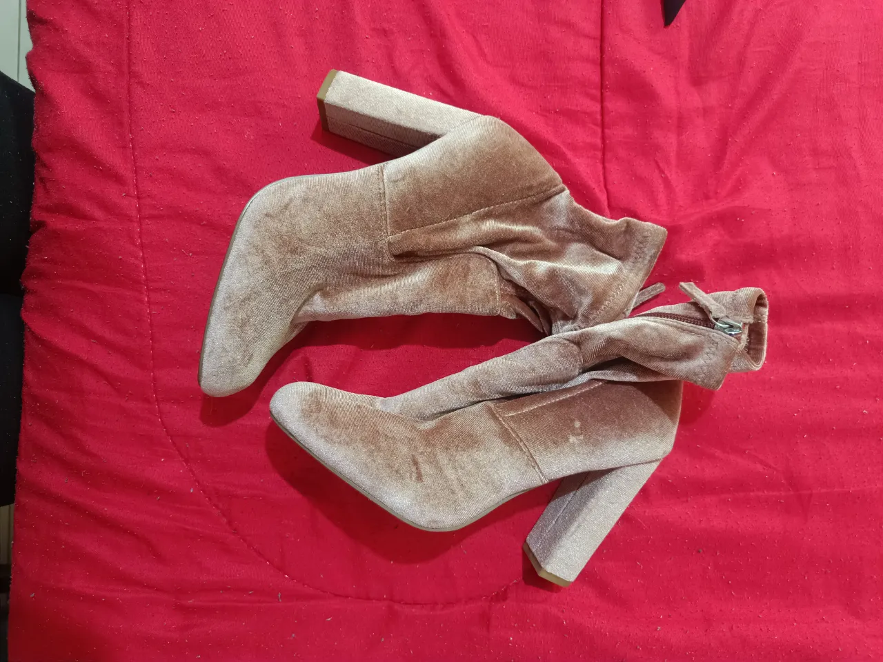 Botines Steve Madden - imagen 4