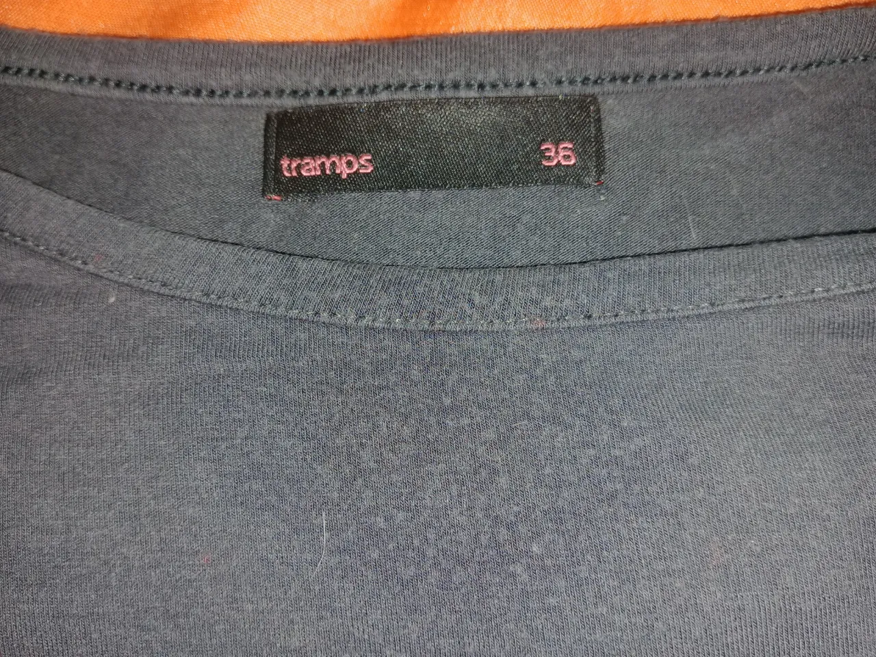 Remera Tramps - imagen 2