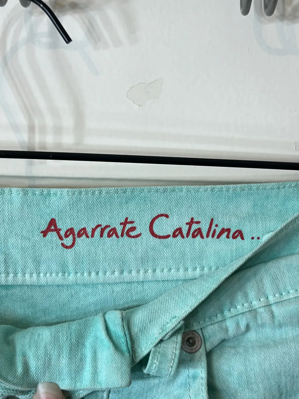 Pollera Agarrate Catalina - imagen 4