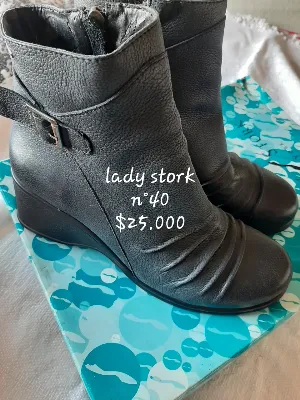 Lady Stork