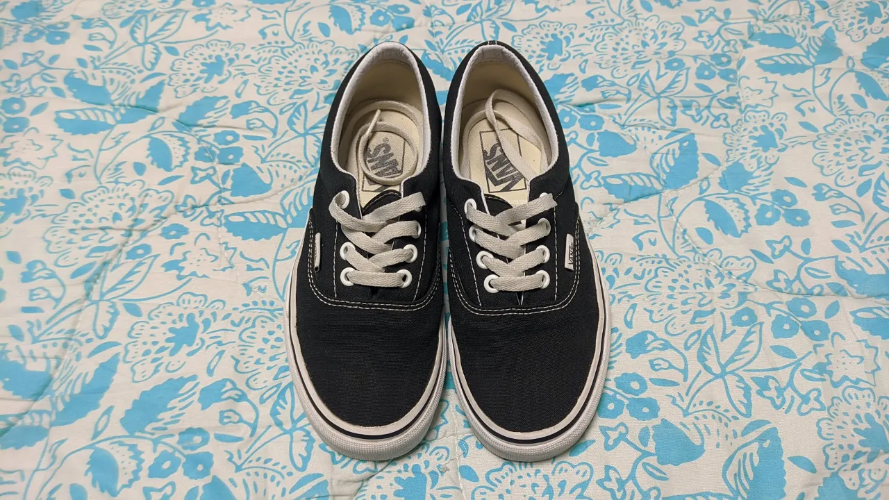 Zapatillas Vans - imagen 1
