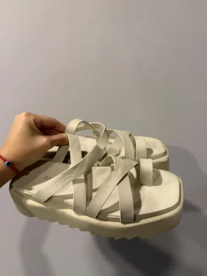 Sarkany