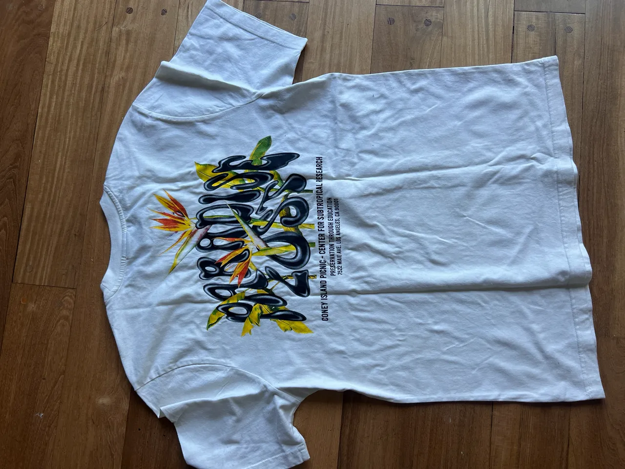 Remera Coney island picnic - imagen 3