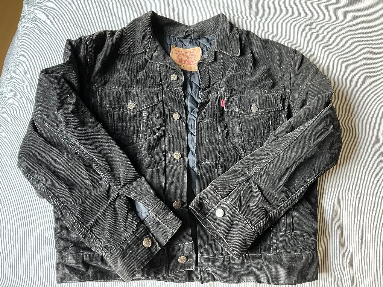 Campera Levi's - imagen 1