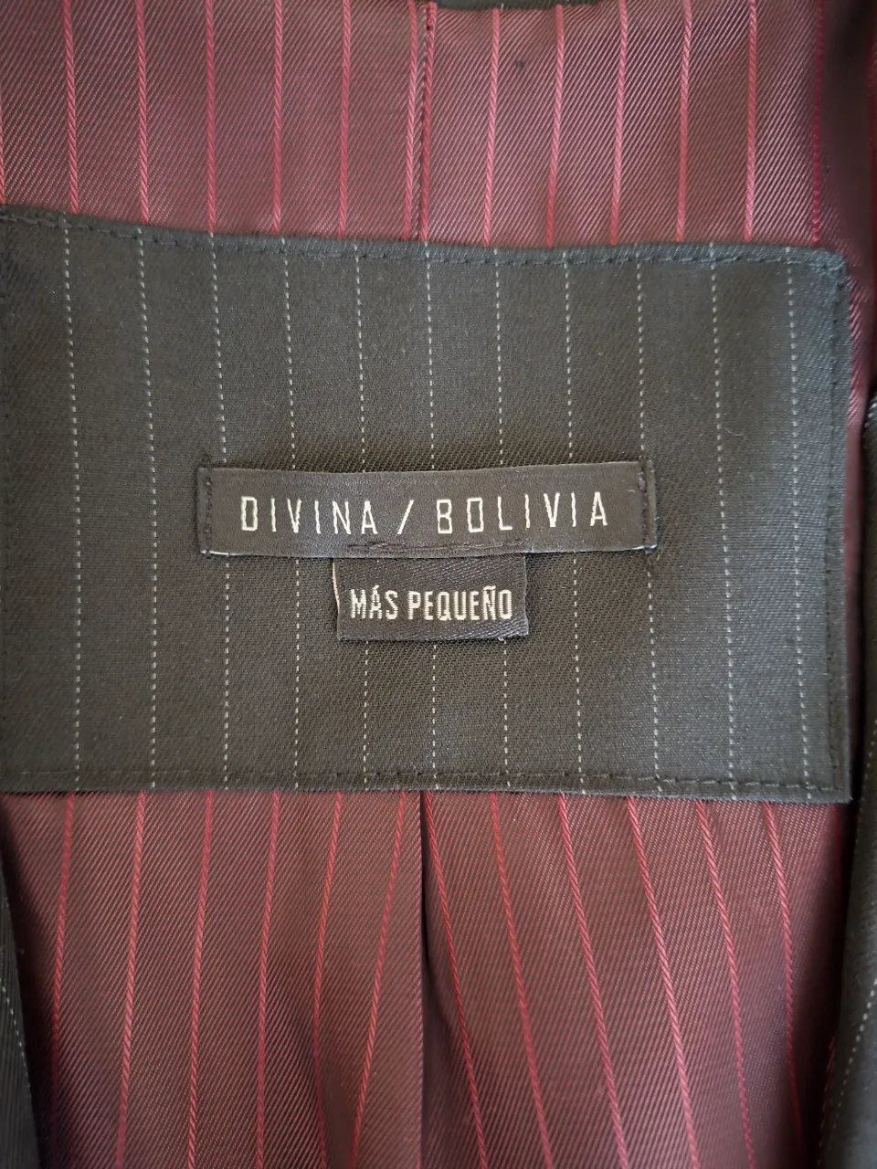 Blazer Bolivia - imagen 2