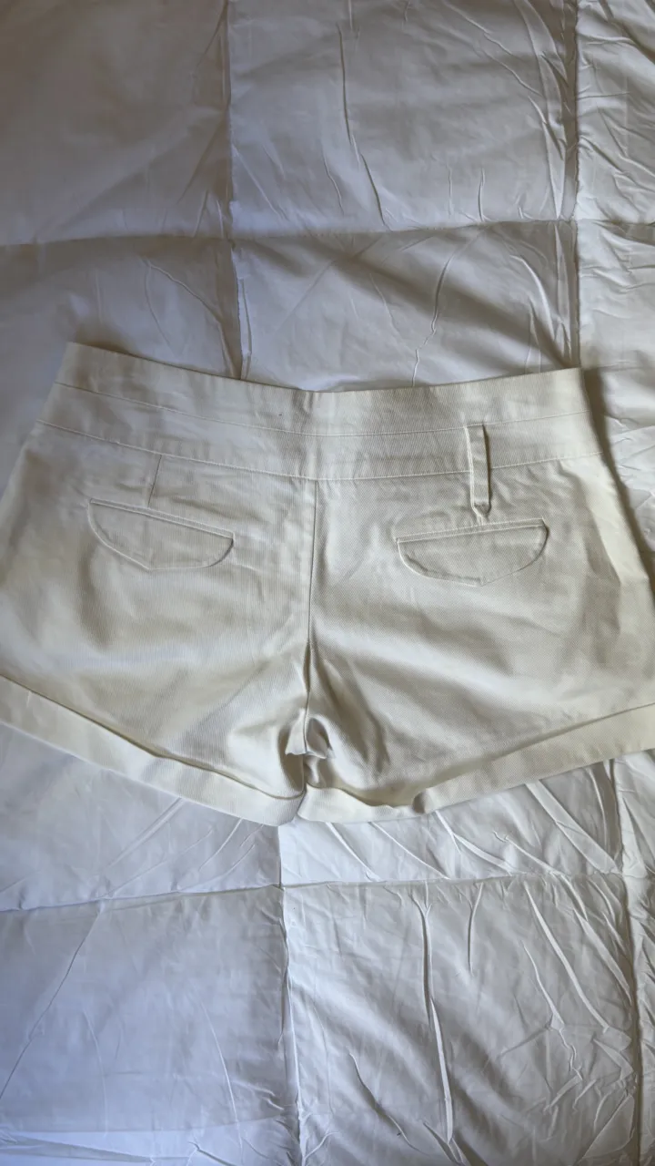 Short Ayres - imagen 4