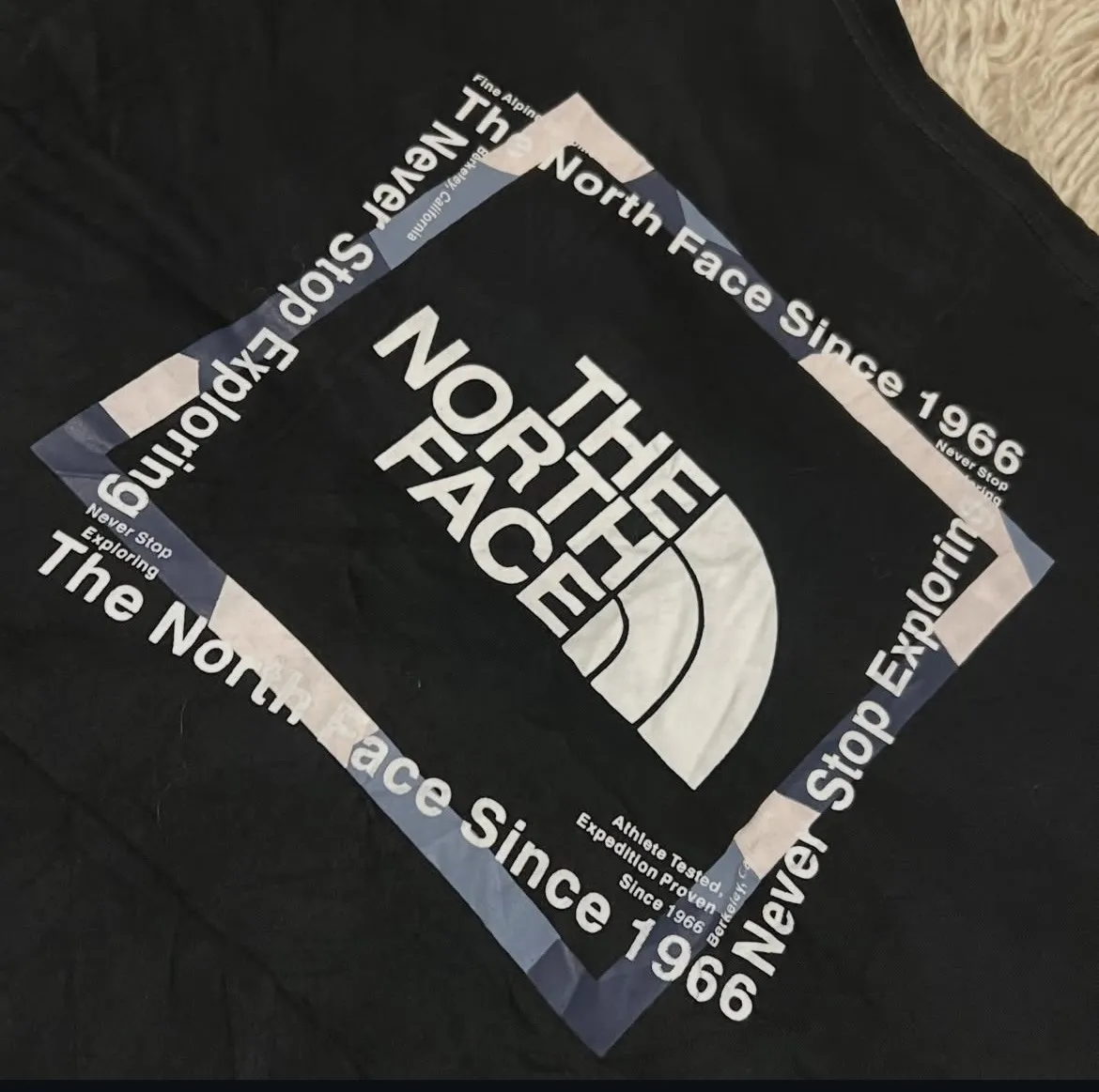 Remera The North Face - Vista 2