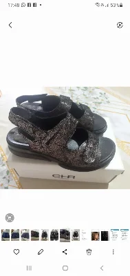 Chiarini