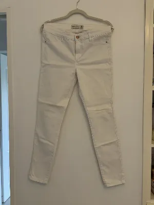 Abercrombie & Fitch