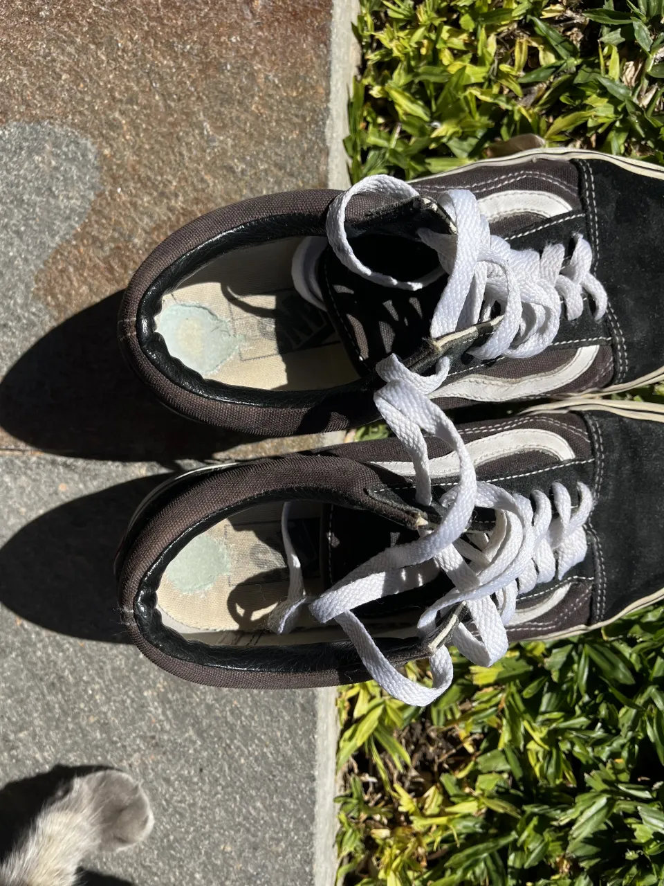 Zapatillas Vans - imagen 3