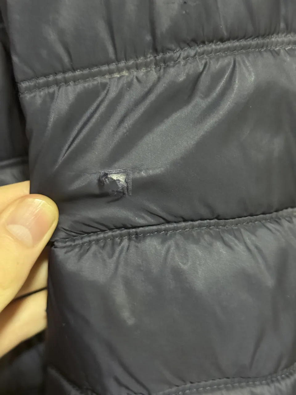 Campera Celio miniatura 4