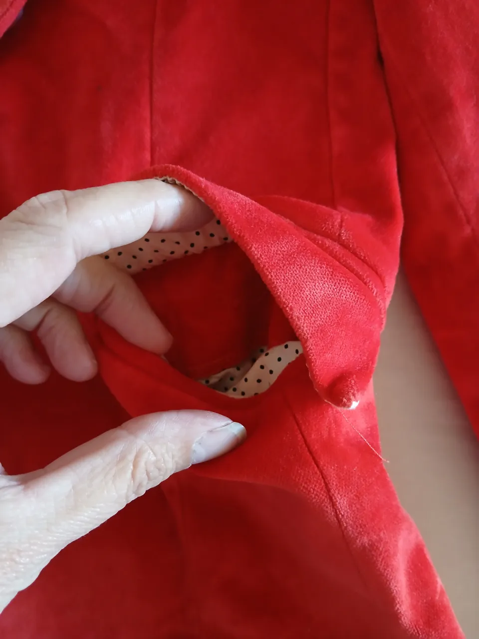Blazer Paula Cahen D'Anvers - imagen 4