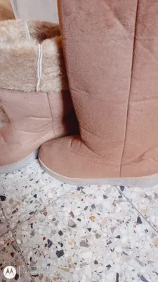 Zapato