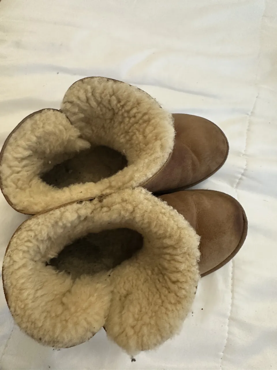 Borcegos UGG - imagen 5