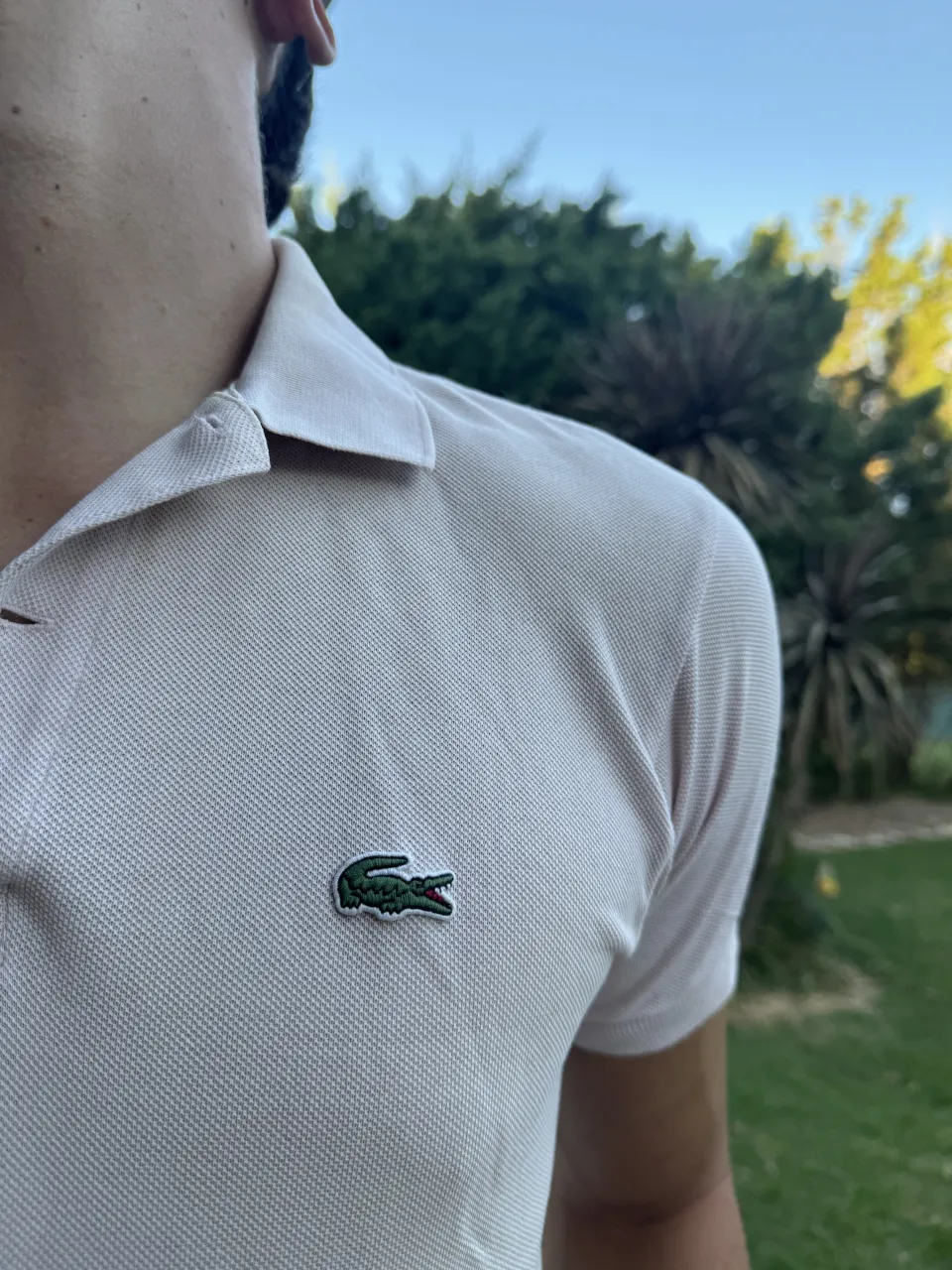 Remera Lacoste - imagen 3