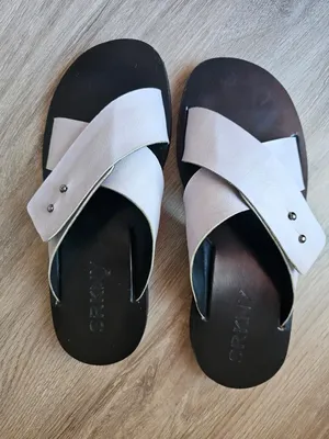 Sarkany