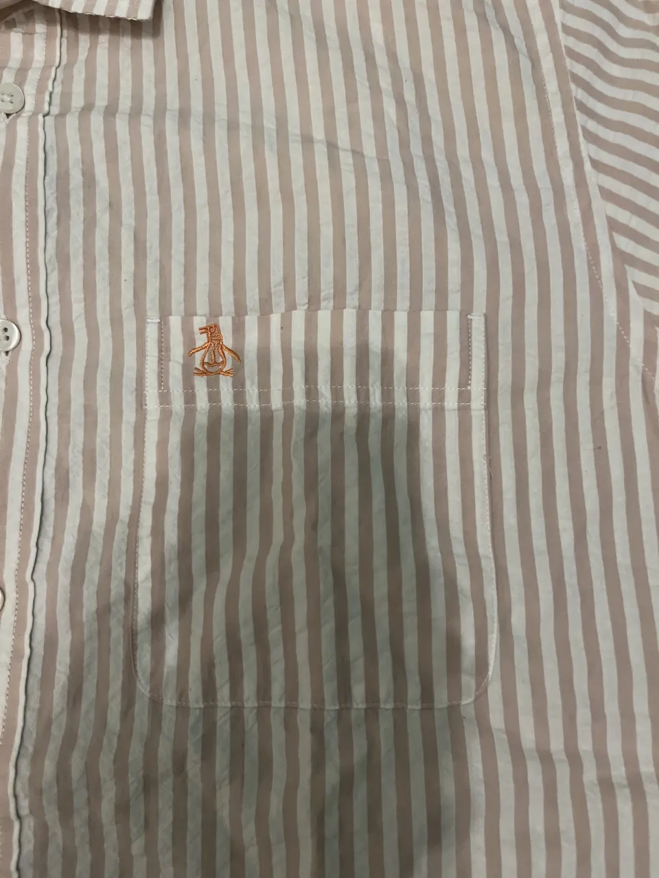 Camisa Penguin - imagen 4