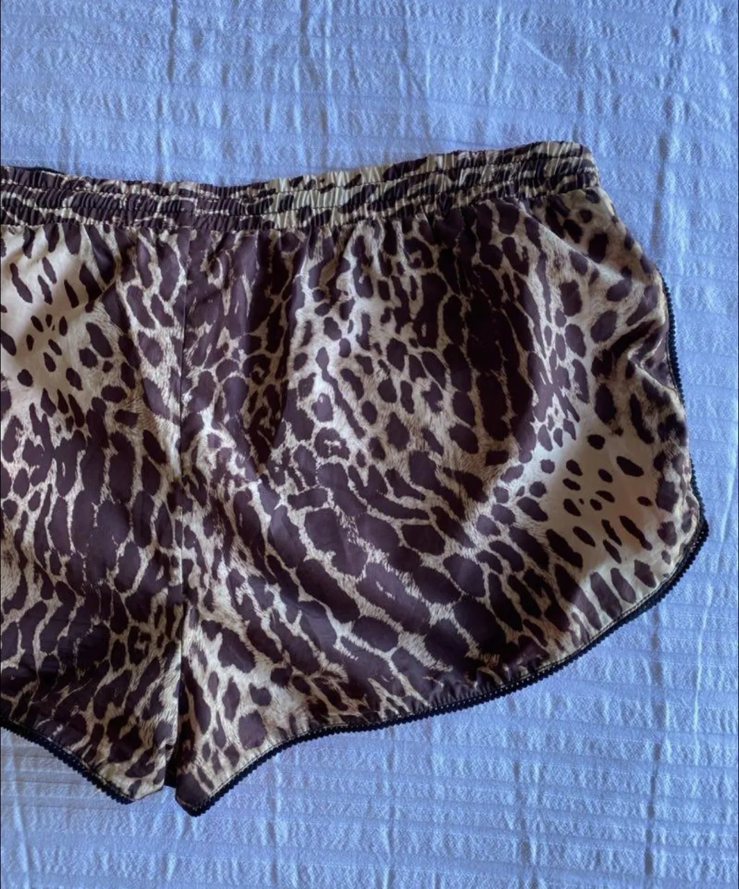 Short Rapsodia - imagen 3